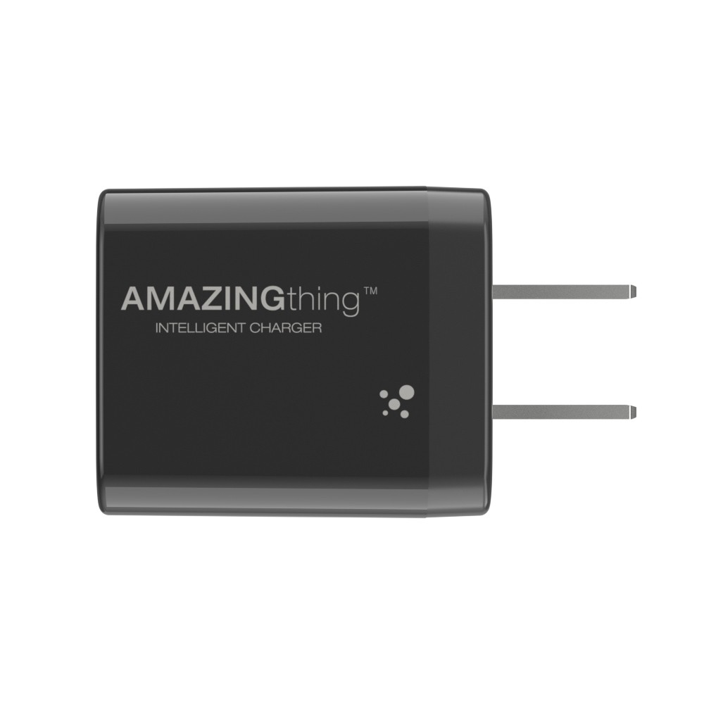 AMAZINGthing Wall USB Charger 1 USB-C (PD20W) Fast Charge Black