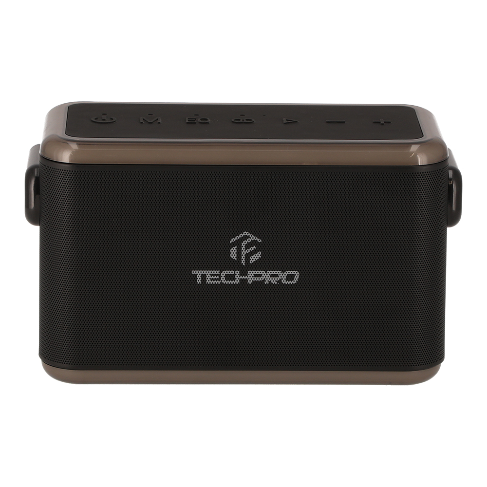 ลำโพงไร้สาย TECHPRO A1 Powerful 80W Stereo Sound Black