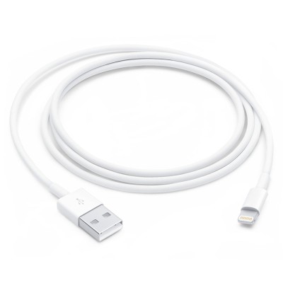 Lightning to USB Cable (1 m)