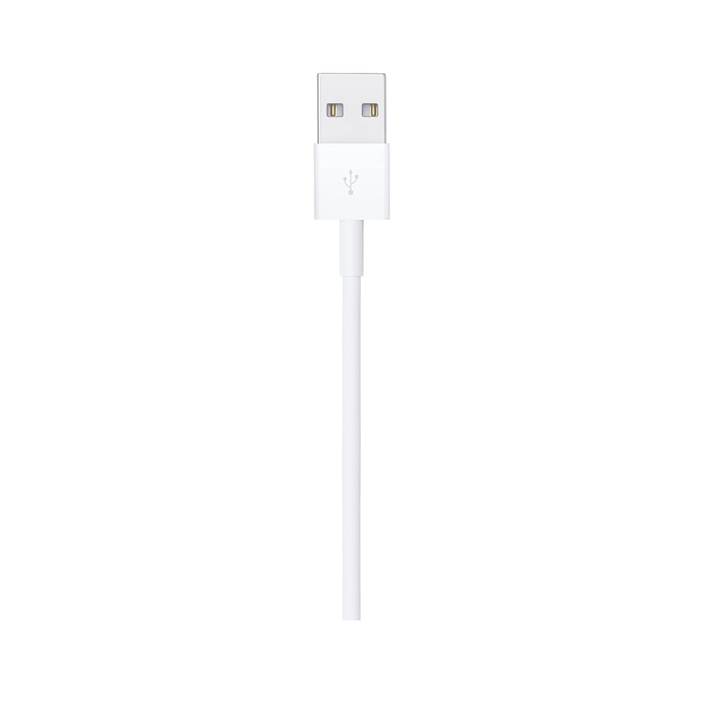 Apple Lightning to USB Cable (1m)