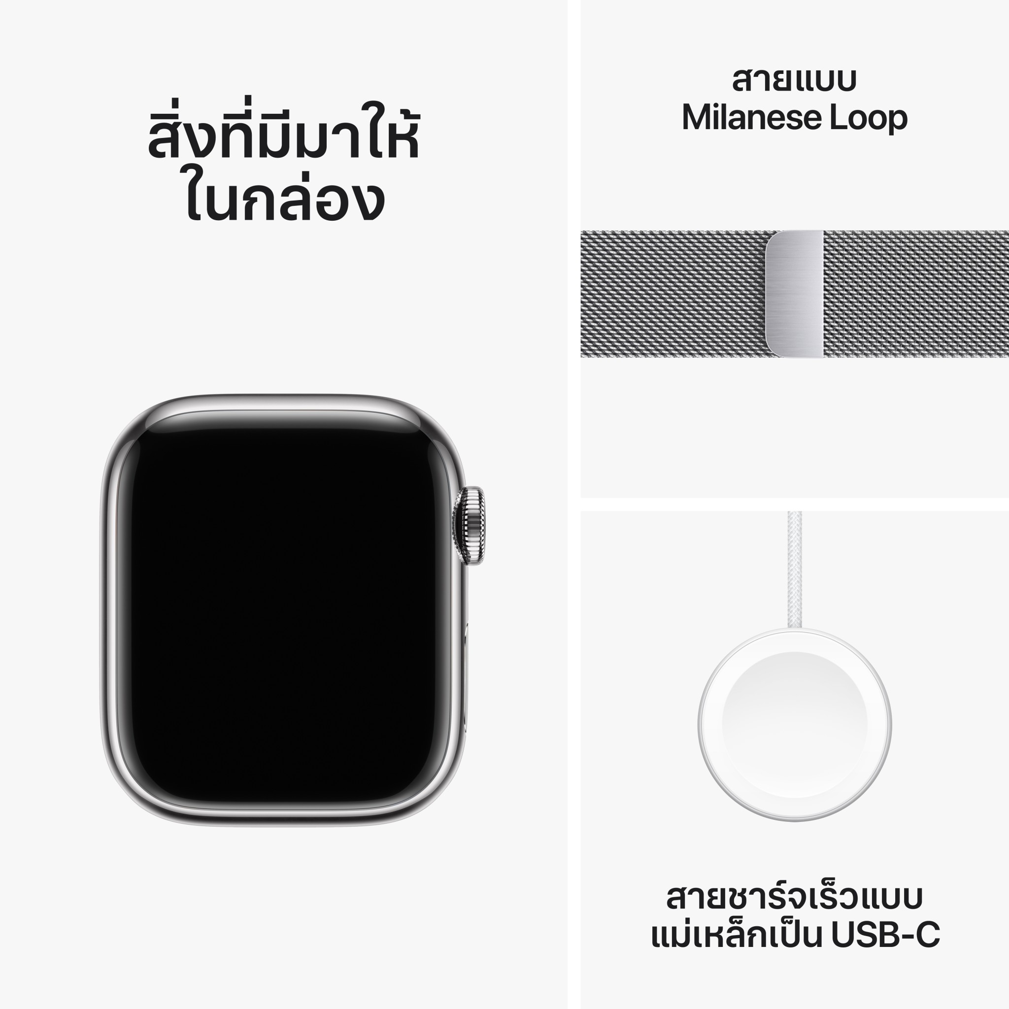 Apple Watch Series  9 GPS + Cellular 41mm Silver Stainless Steel Case with Silver Milanese Loop