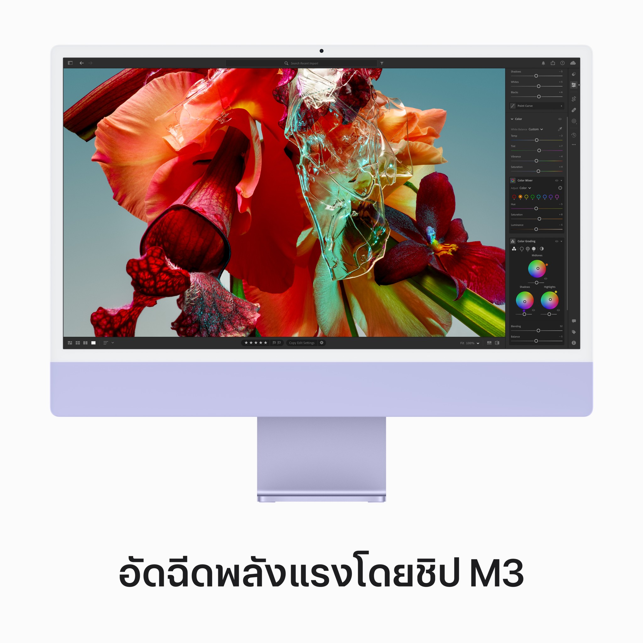iMac 24" with Retina 4.5K display/M3 chip/8C CPU/10C GPU/8GB/512GB Purple (2023)