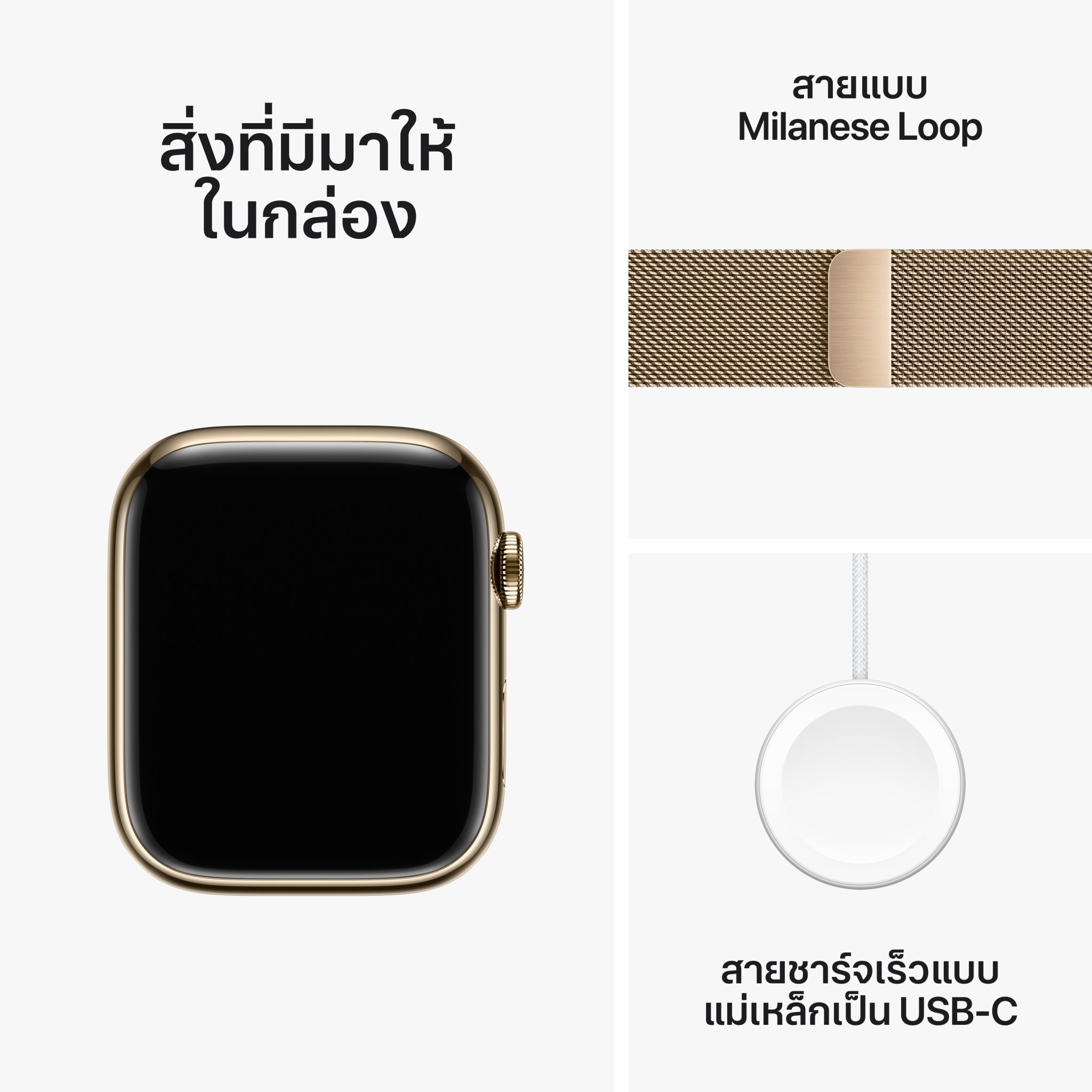 Apple Watch Series  9 GPS + Cellular 45mm Gold Stainless Steel Case with Gold Milanese Loop