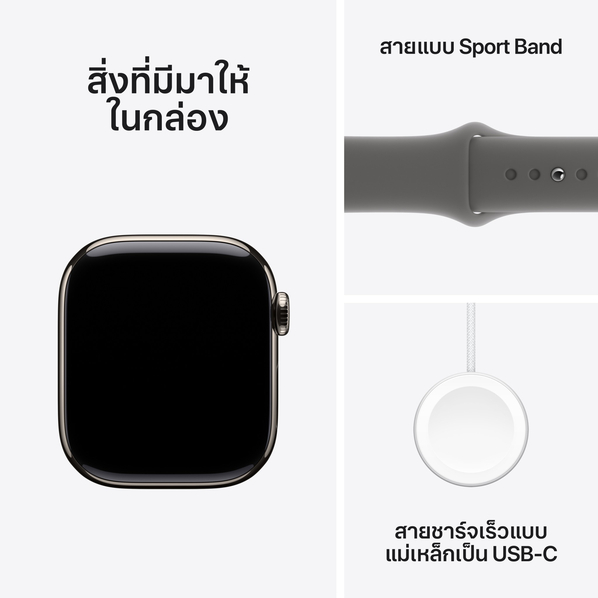 Apple Watch Series 10 GPS + Cellular 42mm Natural Titanium Case with Stone Gray Sport Band - S/M