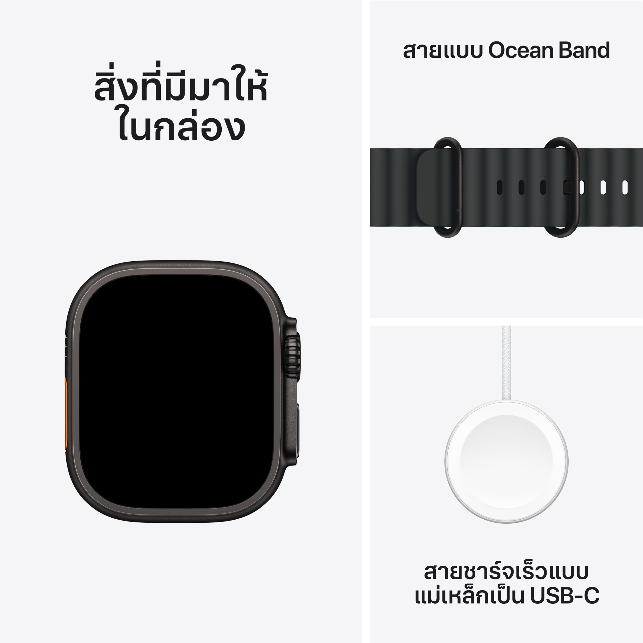 Apple Watch Ultra 2 GPS + Cellular 49mm Black Titanium Case with Black Ocean Band