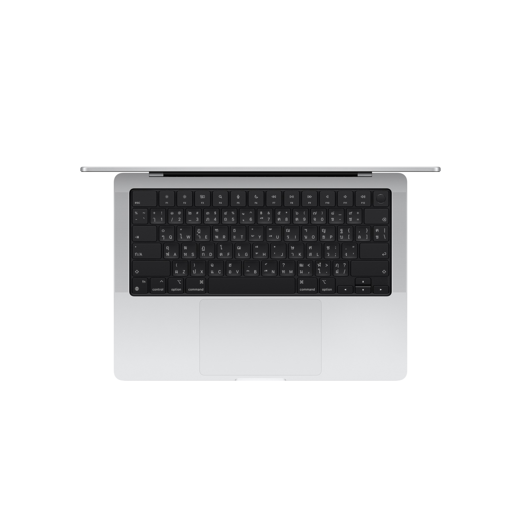 MacBook Pro 14 : M4 Max chip 14C CPU/32C GPU/36GB/1TB Silver (2024)