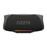 ลำโพงบลูทูธ Ozzie ES300 Black/Gray