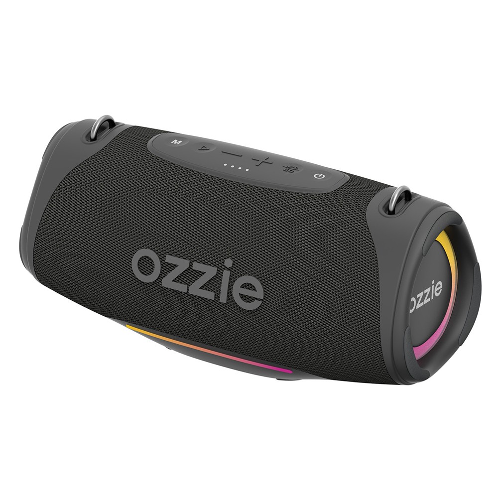 ลำโพงบลูทูธ Ozzie ES300 Black/Gray