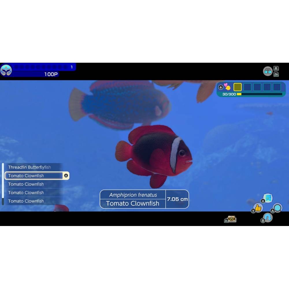 แผ่นเกม Nintendo Switch : Endless Ocean Luminous