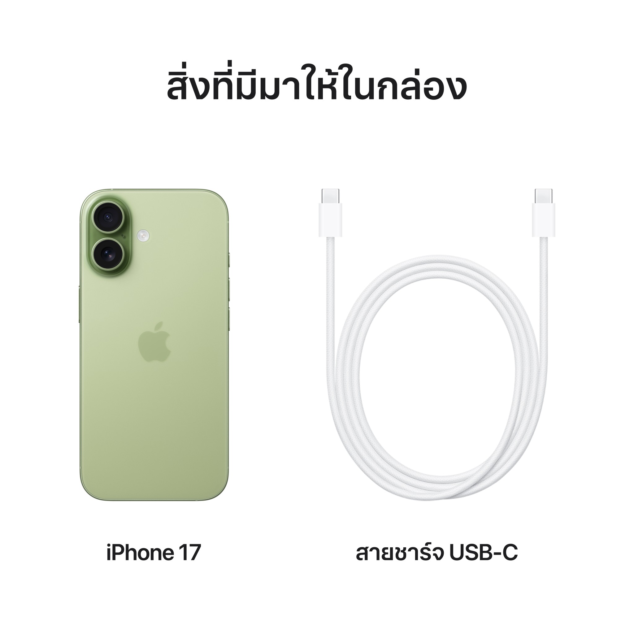 iPhone 17 256GB Sage
