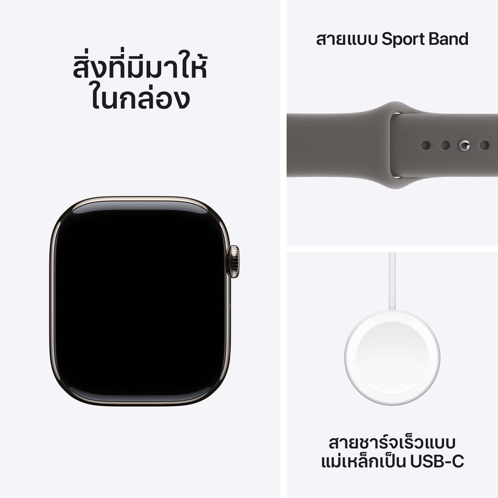 Apple Watch Series 11 GPS + Cellular 42mm Natural Titanium Case with Stone Gray Sport Band - M/L