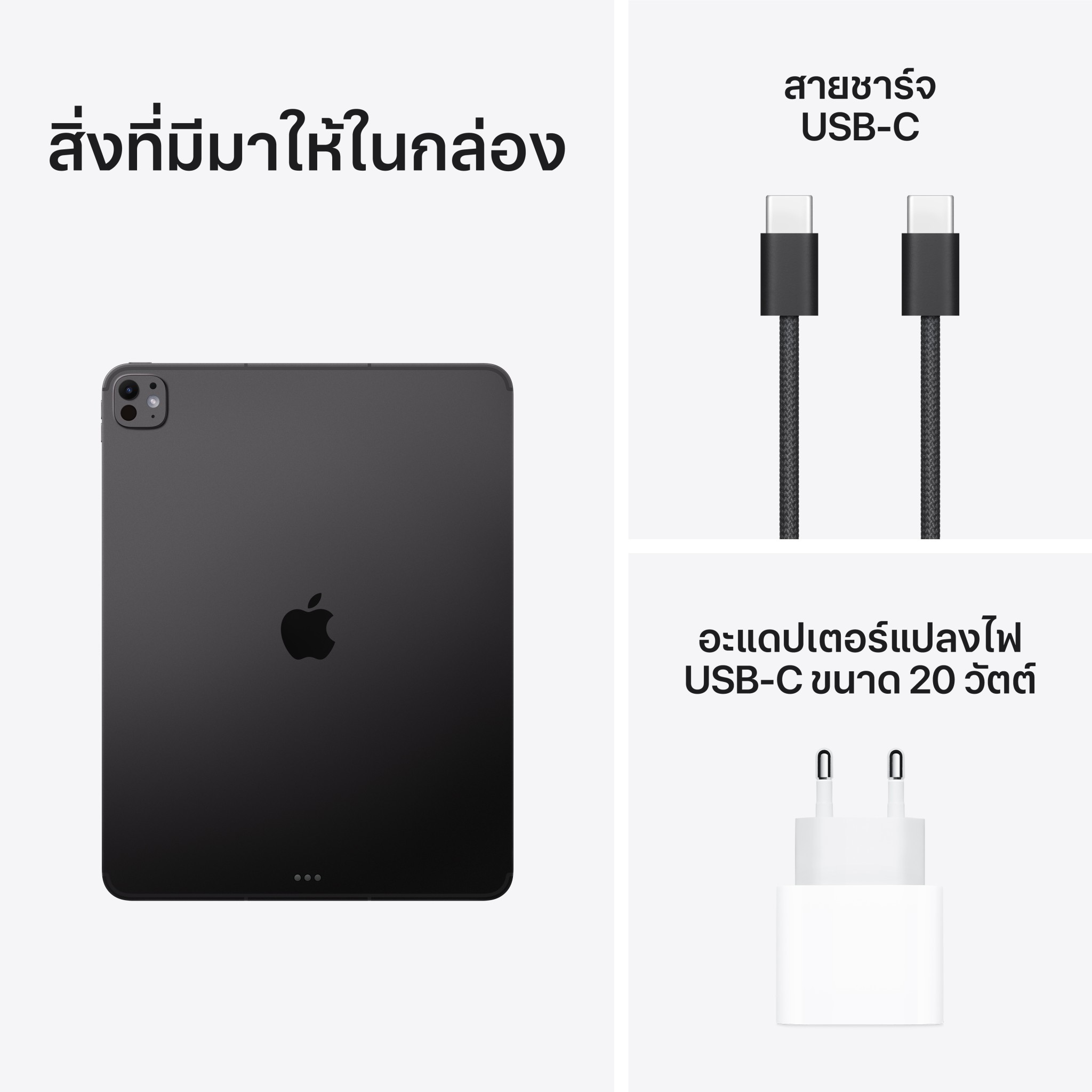 iPad Pro 13 : M5 Wi-Fi + Cellular 256GB with Standard glass - Space Black (2025)