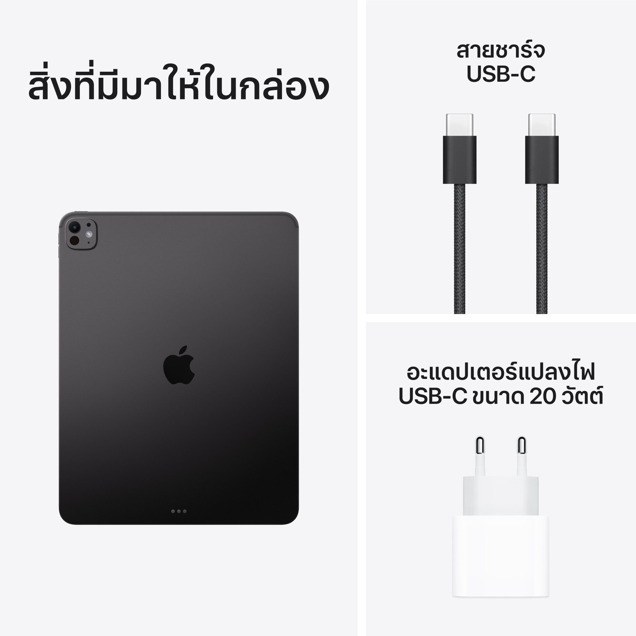iPad Pro 13 : M5 Wi-Fi 512GB with Standard glass - Space Black (2025)