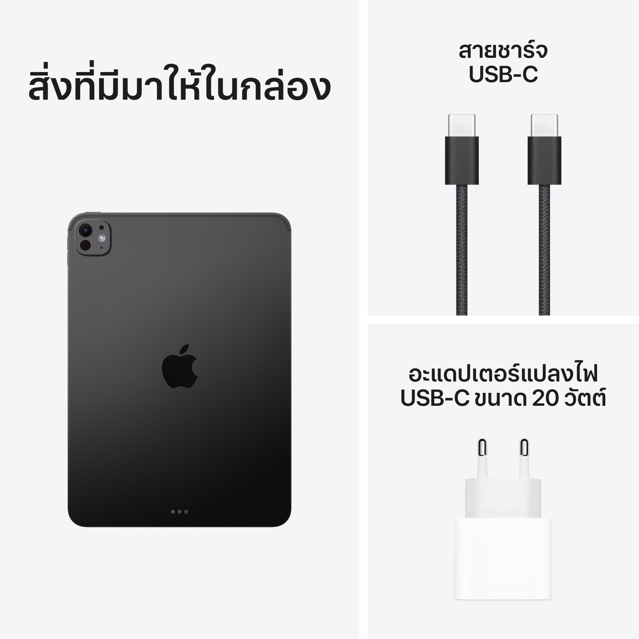 iPad Pro 11 : M5 Wi-Fi 256GB with Standard glass - Space Black (2025)