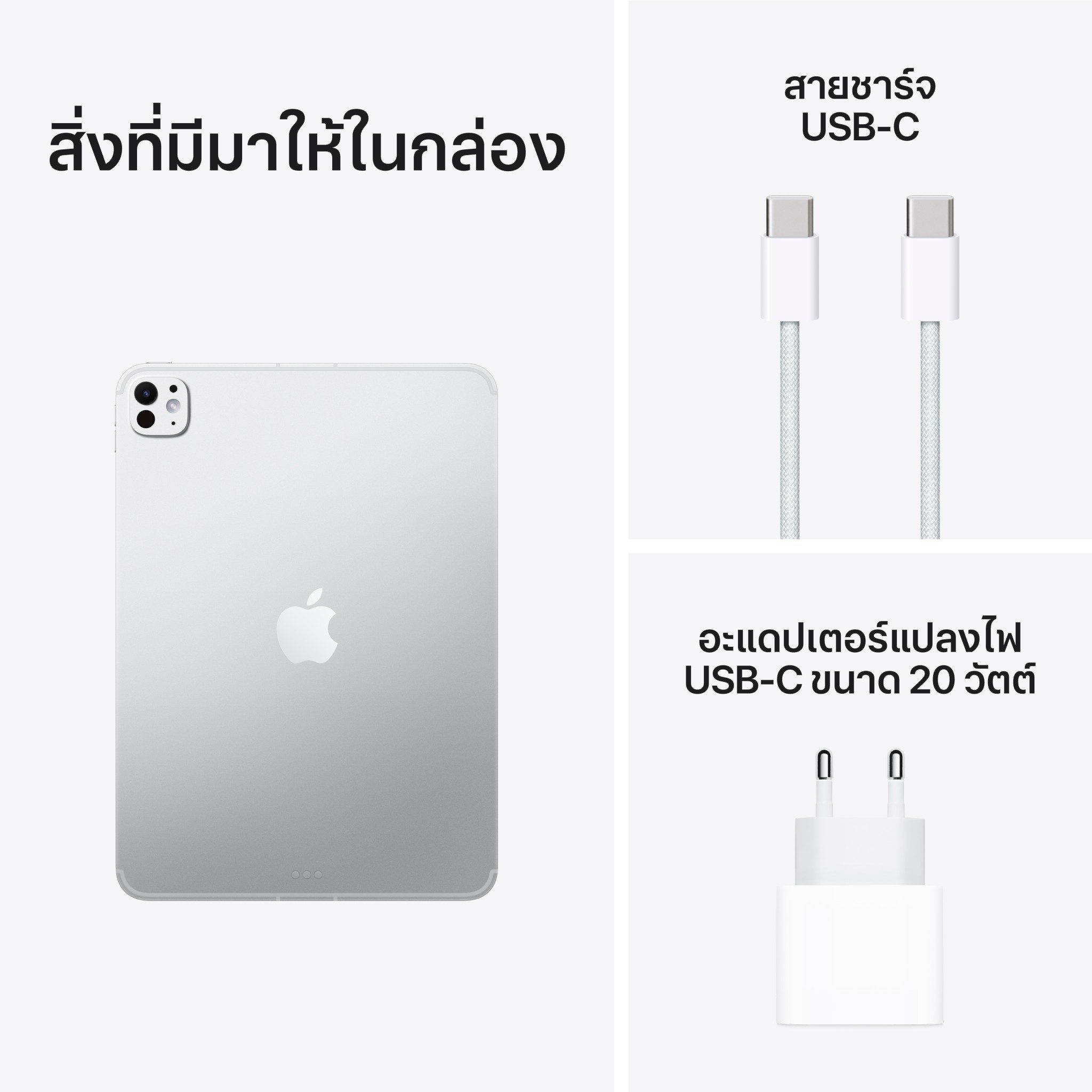 iPad Pro 11 : M5 Wi-Fi + Cellular 256GB with Standard glass - Silver 2025