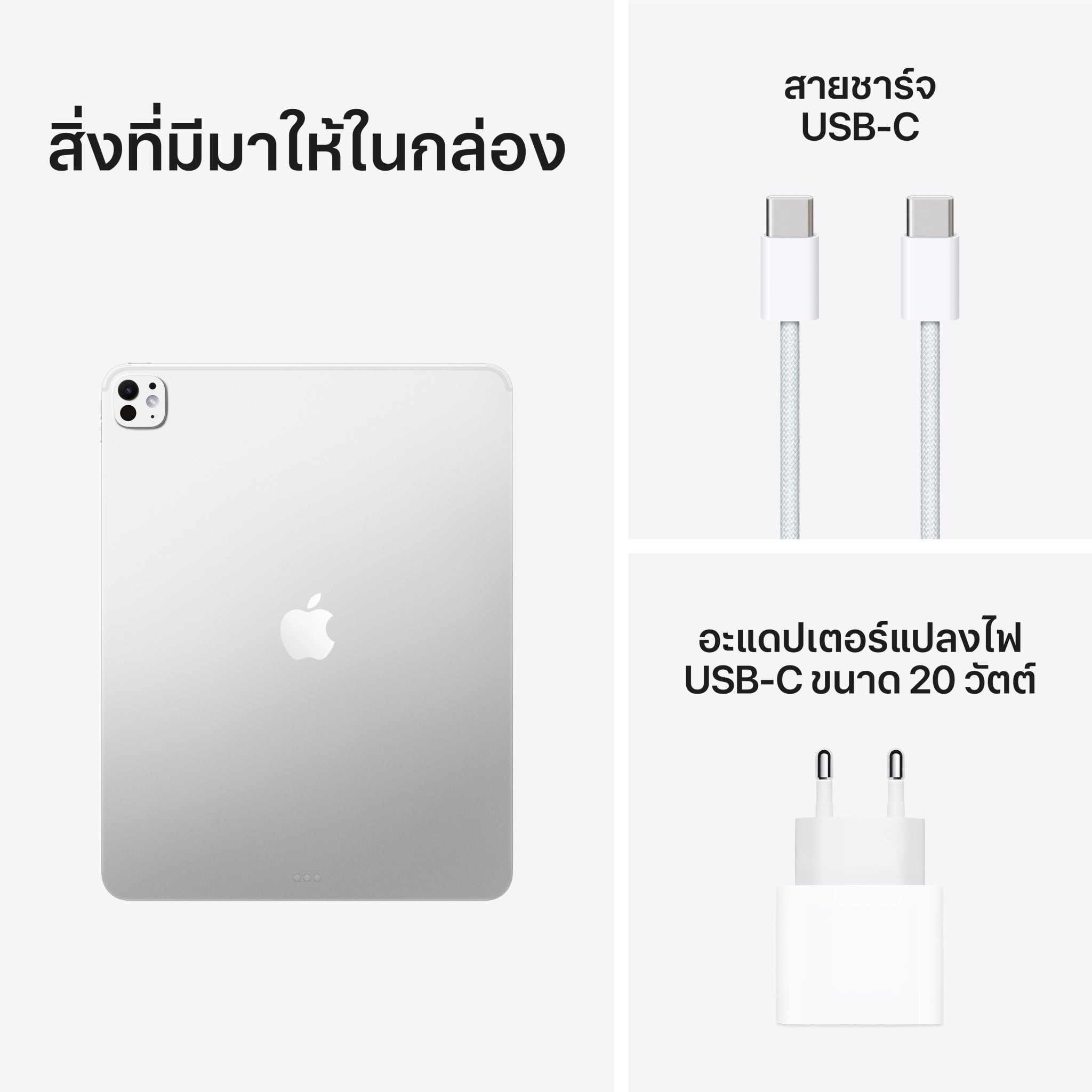 iPad Pro 13 : M5 Wi-Fi 256GB with Standard glass - Silver (2025)