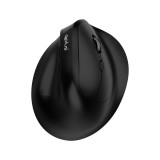 เมาส์ไร้สาย QPLUS Ergonomic Wireless Mouse 1952 Black
