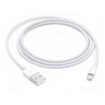 Lightning to USB Cable (1 m)