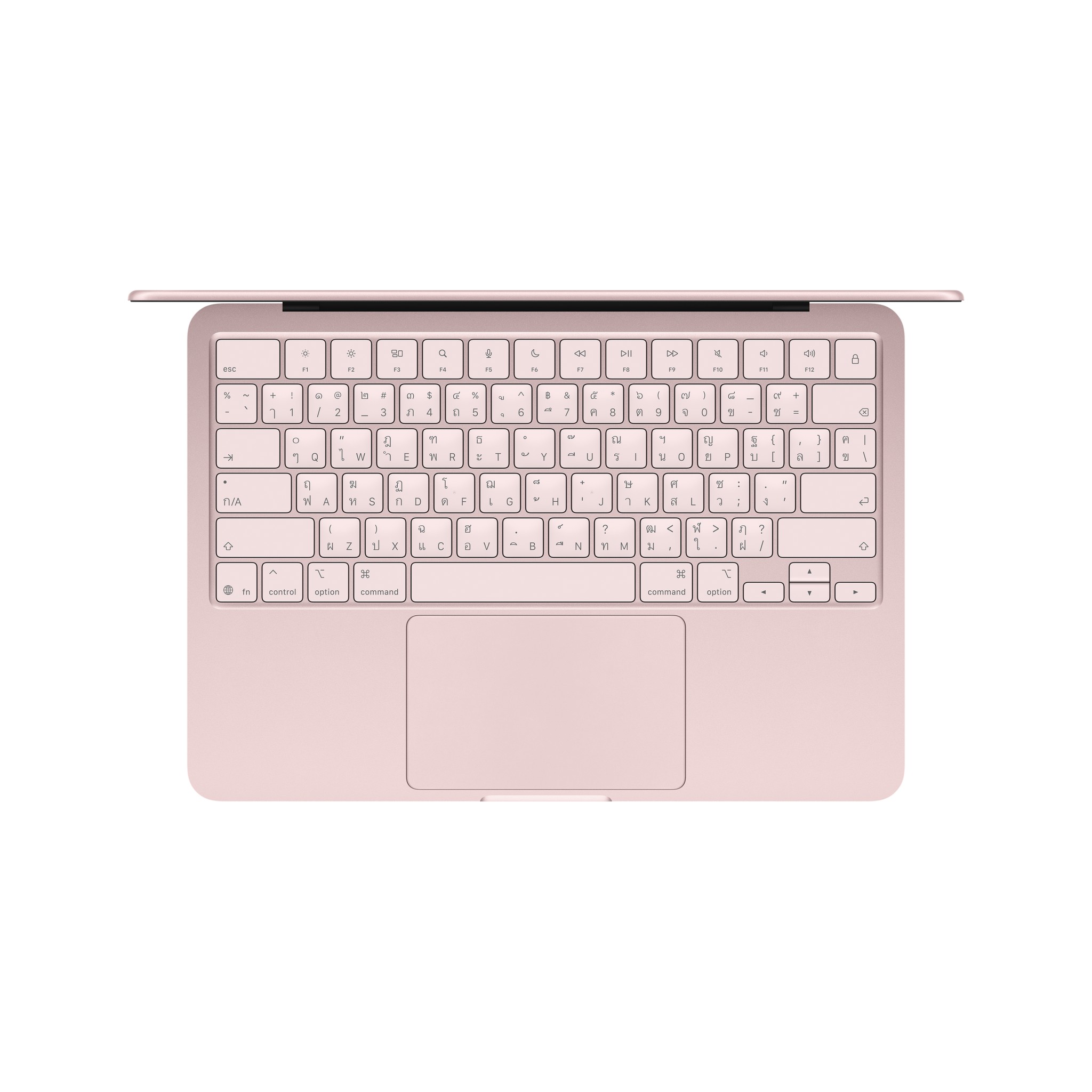 MacBook Neo 13 : A18 Pro chip 6C CPU/5C GPU/8GB/256GB Blush (2026)