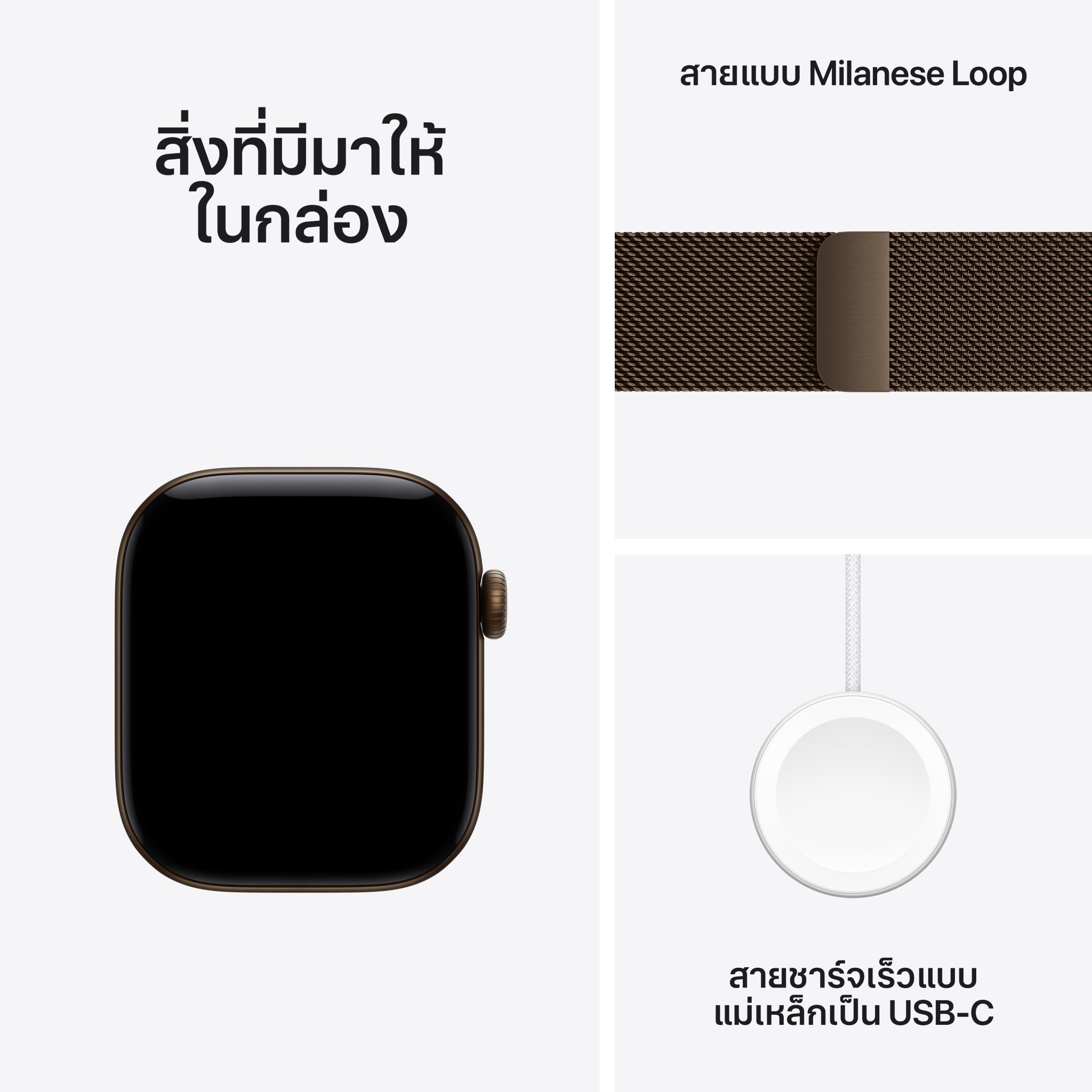 Apple Watch Series 12 GPS 42mm Dark Bronze Aluminium Case with Dark Bronze Milanese Loop