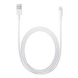 Apple Lightning to USB Cable (2M) ITS
