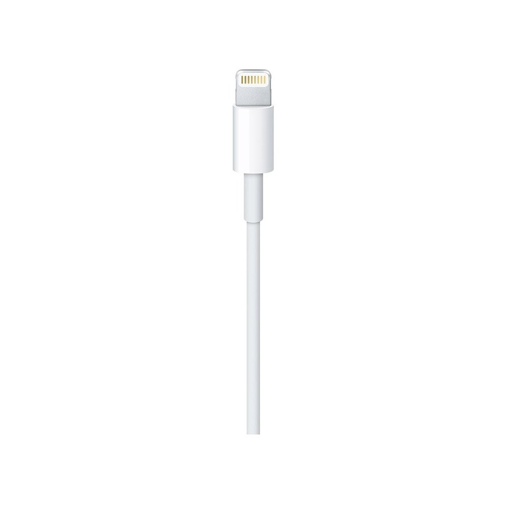 Apple Lightning to USB Cable (2M) ITS