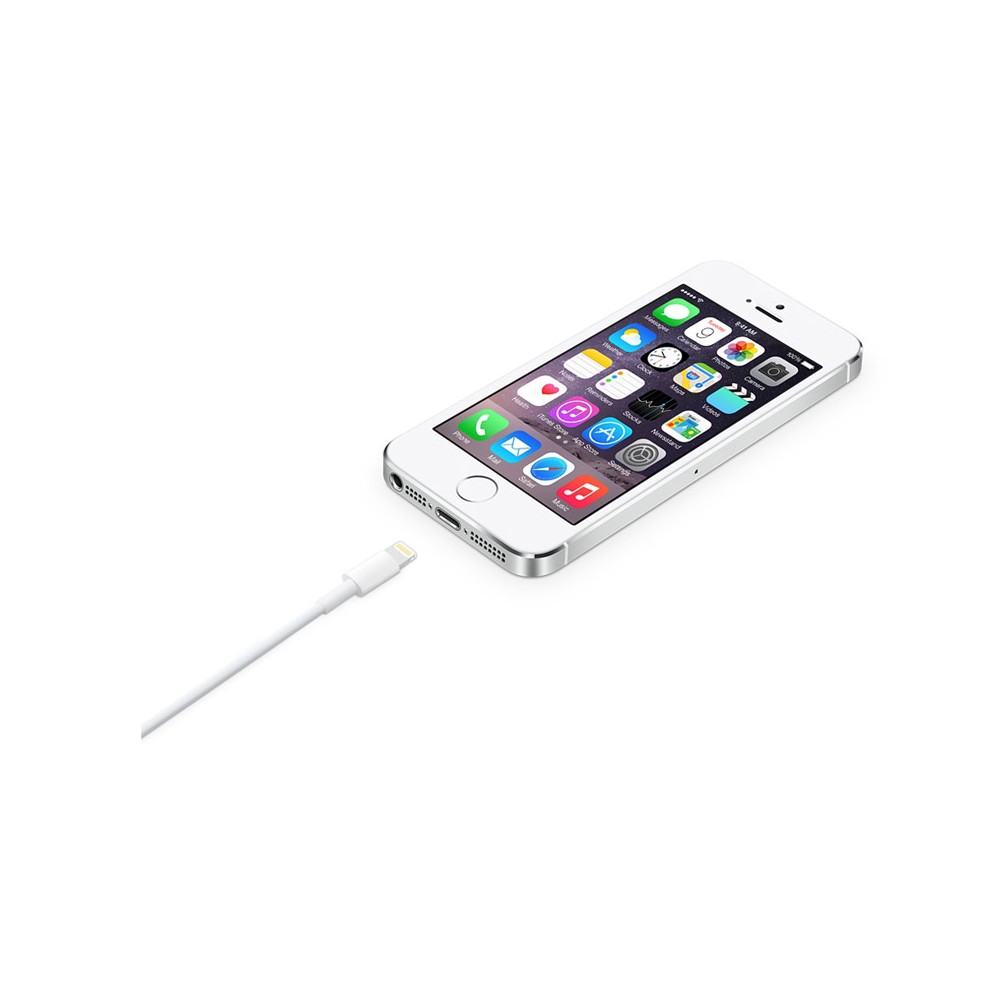 Apple Lightning to USB Cable (2M) ITS