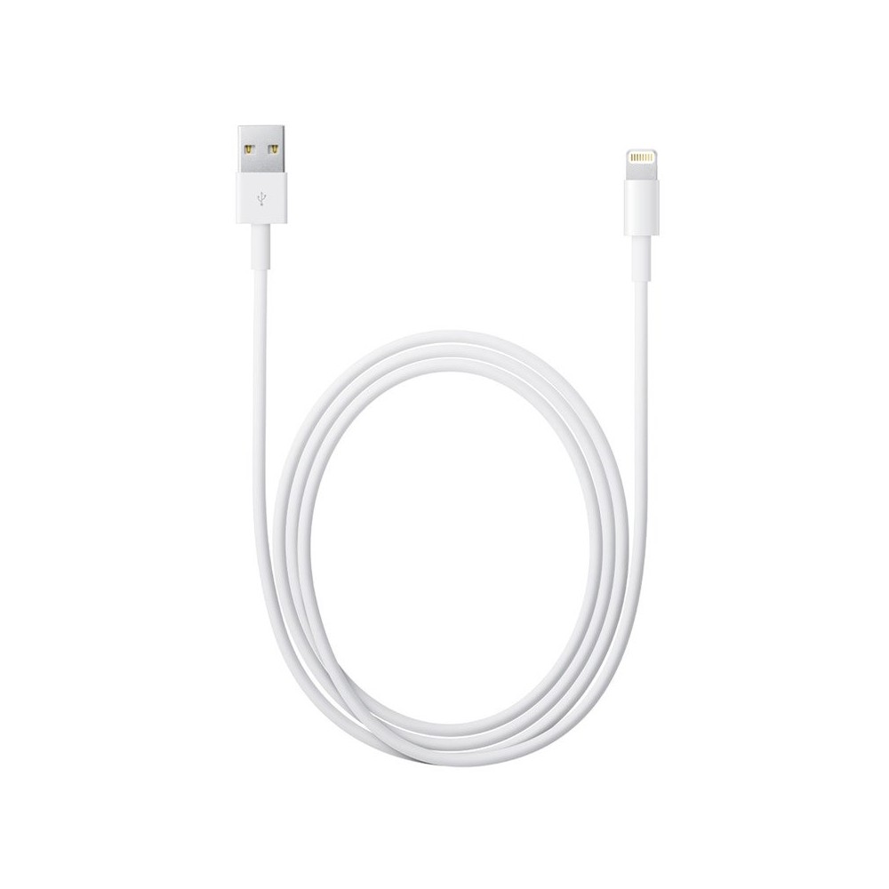 Apple Lightning to USB Cable (2M) ITS