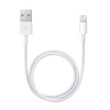 Apple Lightning to USB Cable 0.5M. ITS