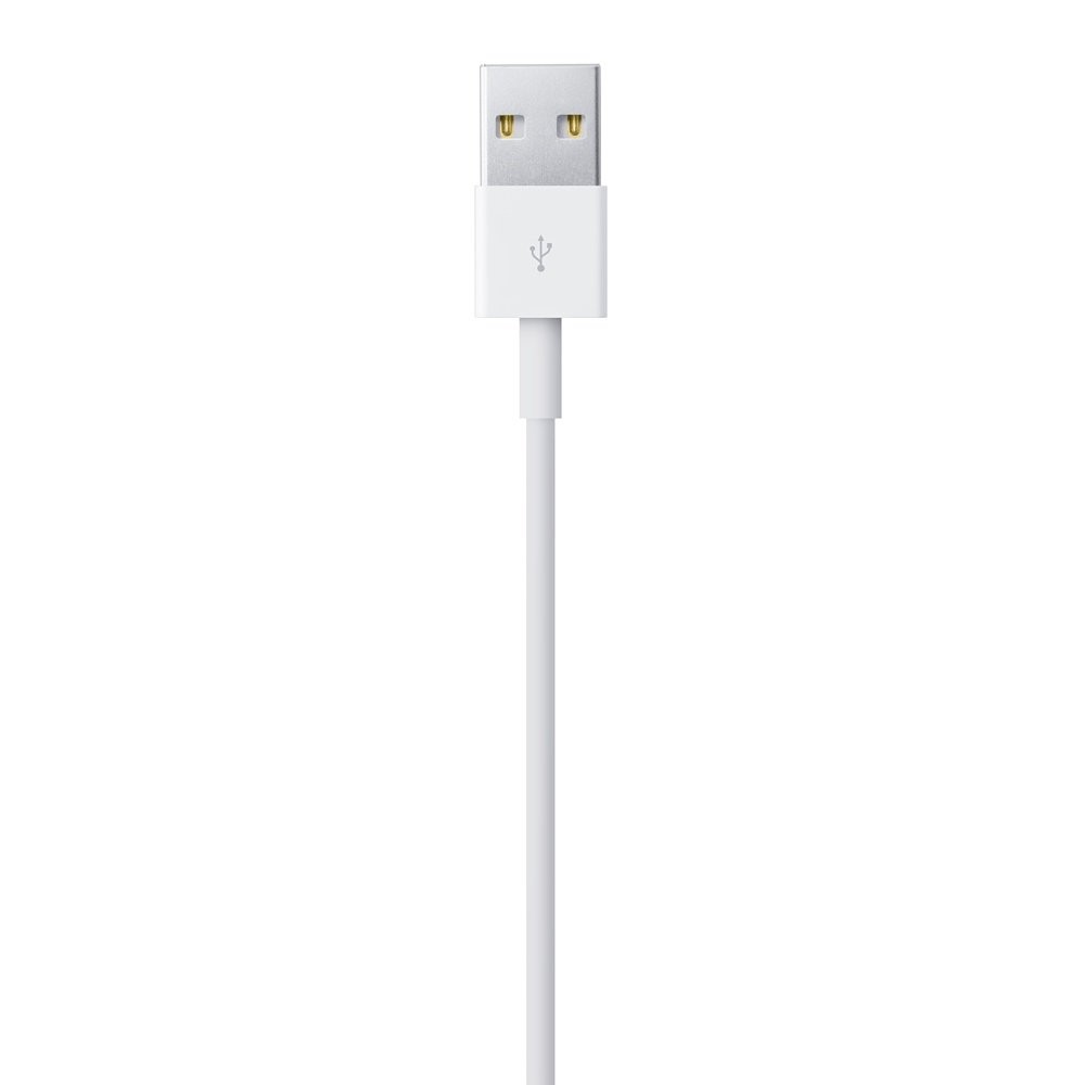 Apple Lightning to USB Cable 0.5M. ITS