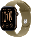 Apple Watch Series 12