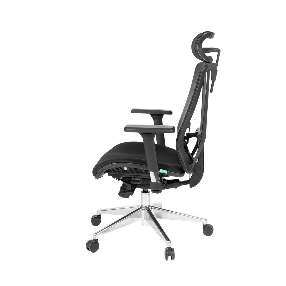 เก้าอี้ทำงานเพื่อสุขภาพ Bewell Ergonomic Chair ENFOLD Studio7 online