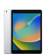 iPad (รุ่นที่ 9)