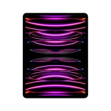 iPad Pro 12.9-inch Wi-Fi + Cellular 512GB Space Gray 2022 (6th Gen)