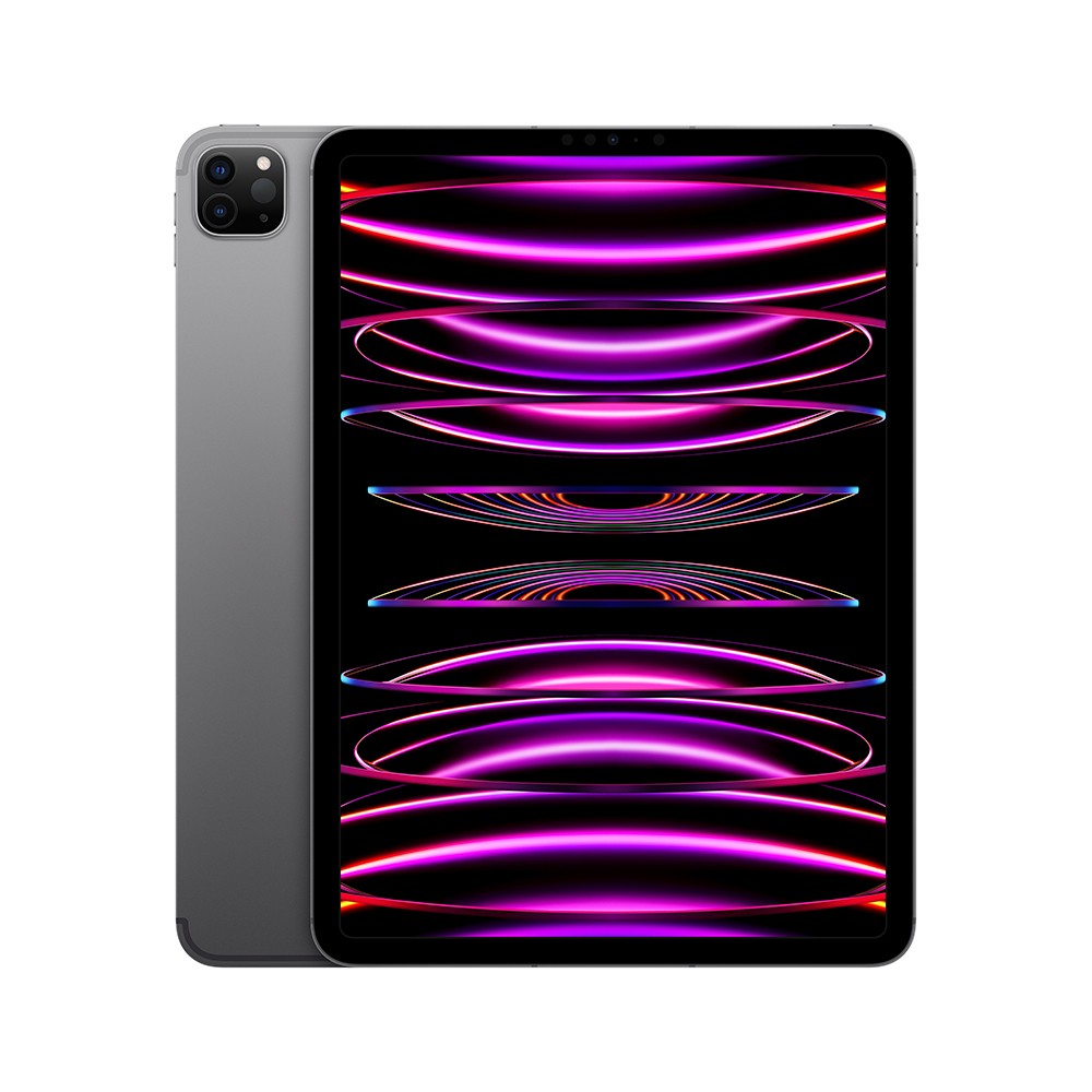 iPad Pro 11-inch Wi-Fi + Cellular 256GB Space Gray 2022 (4th Gen)