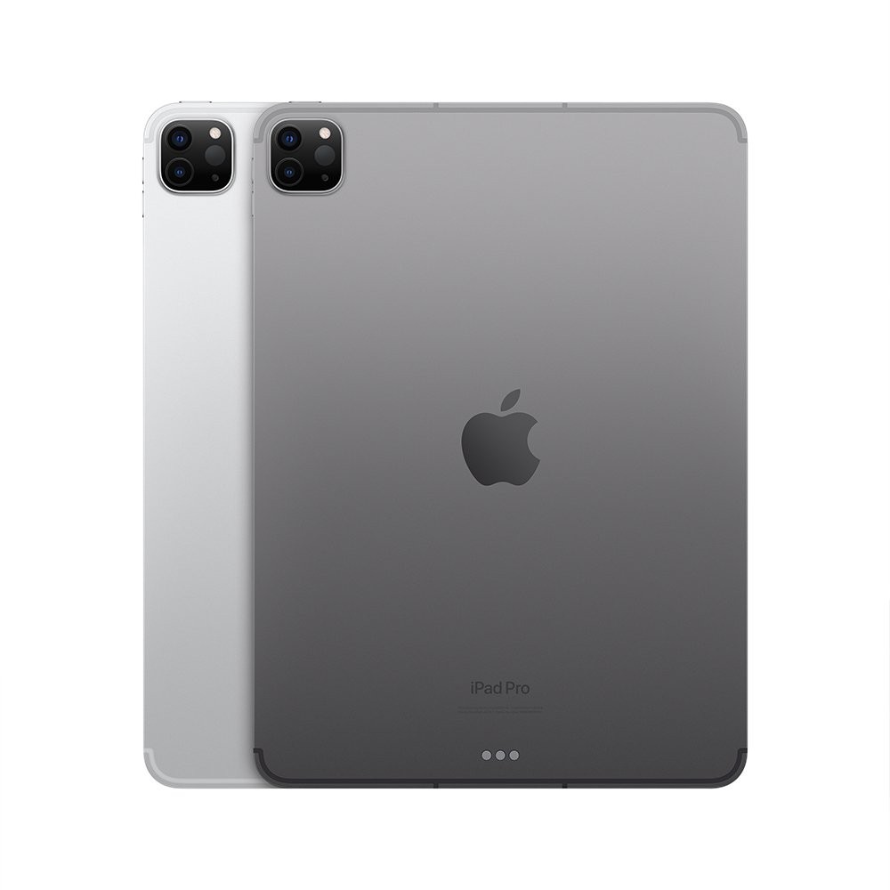 iPad Pro 11-inch Wi-Fi + Cellular 256GB Space Gray 2022 (4th Gen)