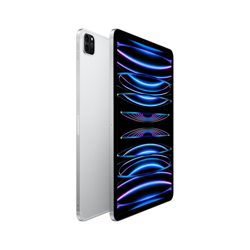 iPad Pro 11-inch Wi-Fi + Cellular 256GB Silver 2022 (4th Gen)