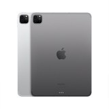 iPad Pro 11-inch Wi-Fi + Cellular 512GB Silver 2022 (4th Gen)