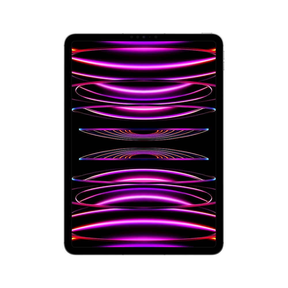 iPad Pro 11-inch Wi-Fi + Cellular 1TB Space Gray 2022 (4th Gen)
