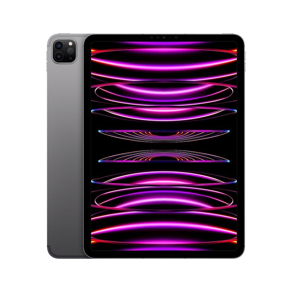 iPad Pro 11-inch Wi-Fi + Cellular 2TB Space Gray 2022 (4th Gen)