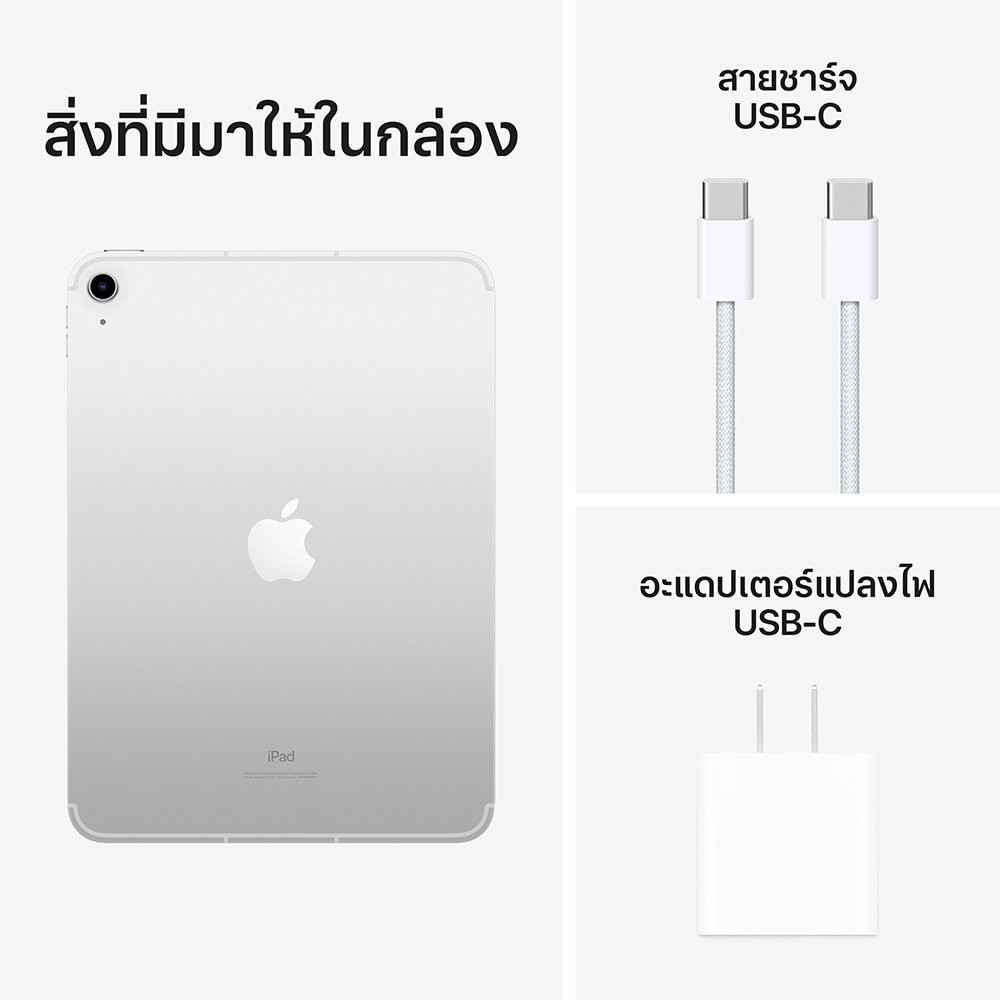 iPad 10 (2022) Wi-Fi + Cellular 256GB 10.9 inch Silver